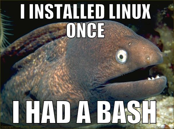 I INSTALLED LINUX ONCE I HAD A BASH Bad Joke Eel