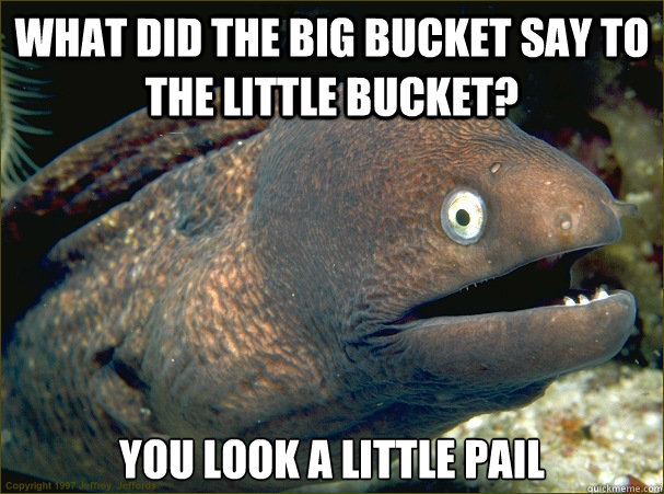 What did the big bucket say to the little bucket? You look a little pail  Bad Joke Eel