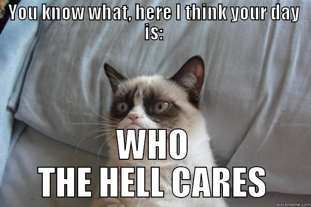 Who cares - YOU KNOW WHAT, HERE I THINK YOUR DAY IS: WHO THE HELL CARES Grumpy Cat