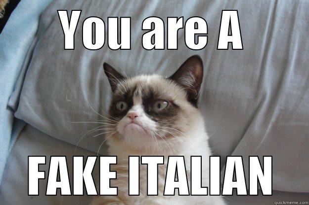 YOU ARE A FAKE ITALIAN Grumpy Cat