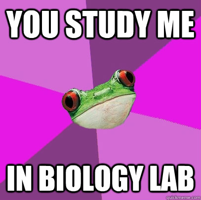 You study me In biology lab  Foul Bachelorette Frog