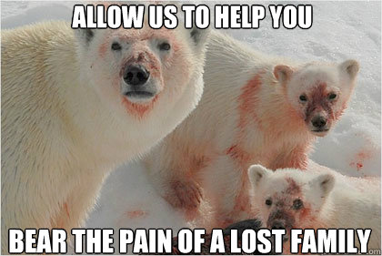 allow us to help you bear the pain of a lost family  Bad News Bears