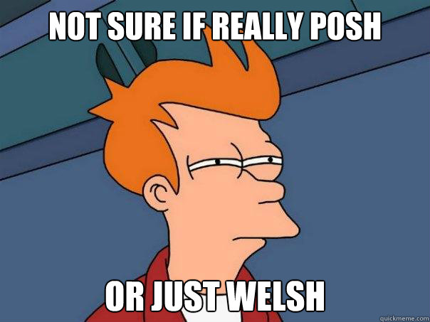 Not sure if really posh Or just welsh - Not sure if really posh Or just welsh  Futurama Fry