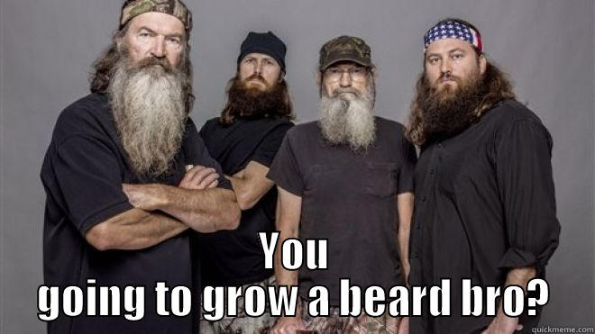 DD Beards -  YOU GOING TO GROW A BEARD BRO? Misc