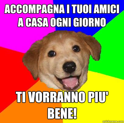 Accompagna i tuoi amici a casa ogni giorno ti vorranno piu' bene!  Advice Dog