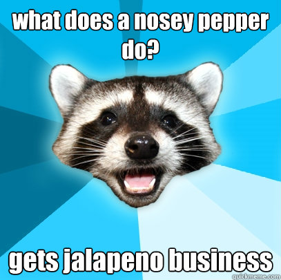 what does a nosey pepper do? gets jalapeno business   Lame Pun Coon