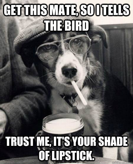 Get this mate, so I tells the bird trust me, it's your shade of lipstick.  Hipster Dog