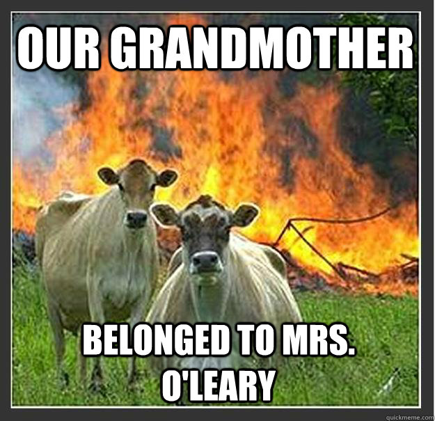 Our Grandmother belonged to Mrs. O'Leary  Evil cows