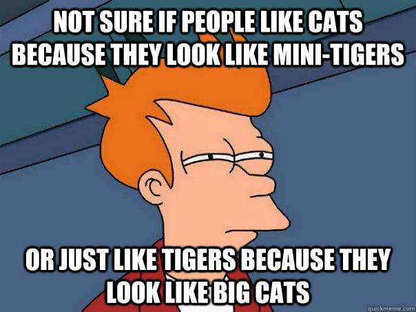 Not sure if people like cats because they look like mini-tigers Or just like tigers because they look like big cats  Futurama Fry