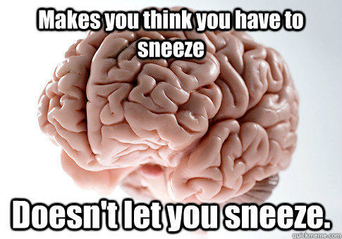 Makes you think you have to sneeze Doesn't let you sneeze.  - Makes you think you have to sneeze Doesn't let you sneeze.   Scumbag Brain