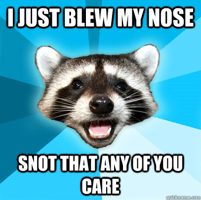 I JUST BLEW MY NOSE SNOT THAT ANY OF YOU CARE - I JUST BLEW MY NOSE SNOT THAT ANY OF YOU CARE  Lame Pun Coon