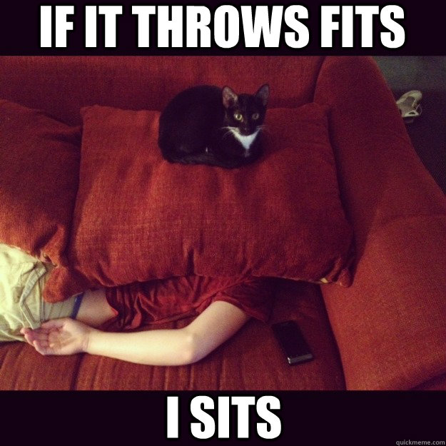 if it throws fits i sits - if it throws fits i sits  jealous cat