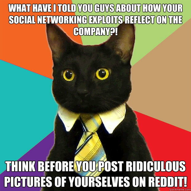 what have i told you guys about how your social networking exploits reflect on the company?! think before you post ridiculous pictures of yourselves on reddit! - what have i told you guys about how your social networking exploits reflect on the company?! think before you post ridiculous pictures of yourselves on reddit!  Business Cat