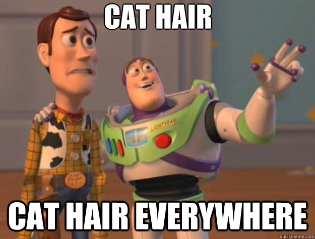 cat hair cat hair everywhere  Toy Story