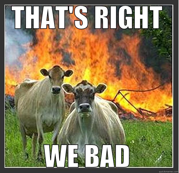 THAT'S RIGHT WE BAD Evil cows