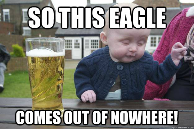 So this eagle comes out of nowhere!  drunk baby