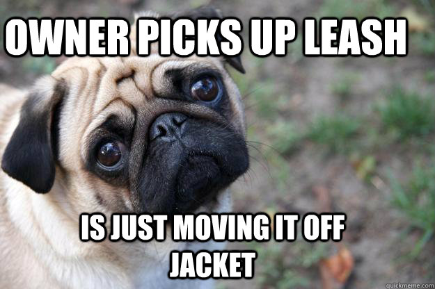 Owner Picks Up Leash Is Just moving it off jacket  First World Dog problems