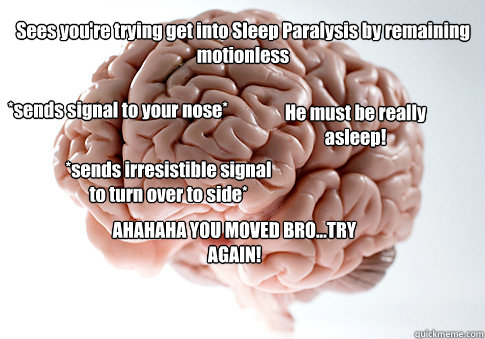 Sees you're trying get into Sleep Paralysis by remaining motionless AHAHAHA YOU MOVED BRO...TRY AGAIN!  *sends signal to your nose* He must be really asleep! *sends irresistible signal to turn over to side*   Scumbag Brain