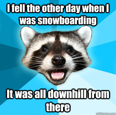 I fell the other day when I was snowboarding It was all downhill from there  Lame Pun Coon