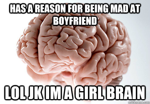 Has a reason for being mad at boyfriend lol jk im a girl brain  Scumbag Brain