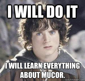 I will do it I will learn everything
about Mucor.   frodo