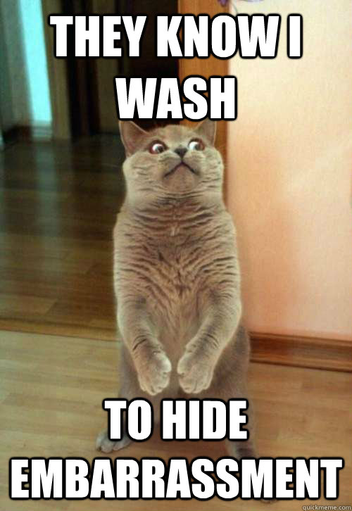 they know i wash  to hide embarrassment  Horrorcat