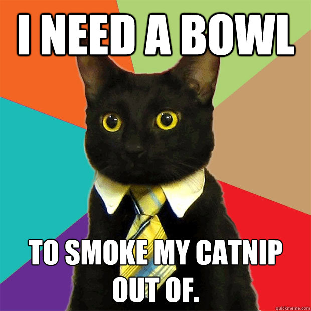 i need a bowl to smoke my catnip out of.  Business Cat