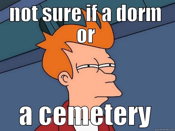 NOT SURE IF A DORM OR A CEMETERY Futurama Fry