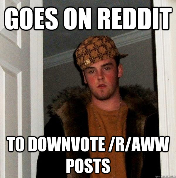 Goes on reddit to downvote /r/aww posts  Scumbag Steve