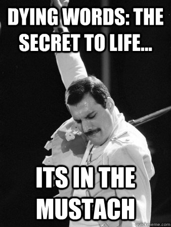 dying words: the secret to life... its in the mustach  Freddie Mercury