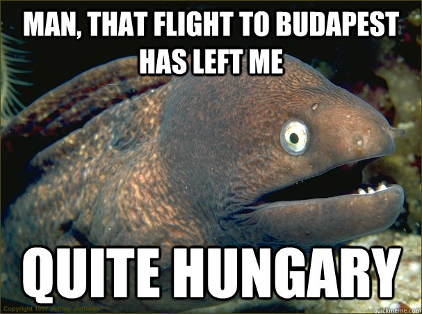 Man, that flight to budapest has left me  quite Hungary - Man, that flight to budapest has left me  quite Hungary  Bad Joke Eel