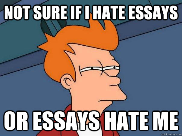 Not sure if I hate essays Or essays hate me  Futurama Fry