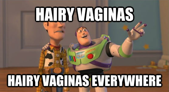 HAIRY VAGINAS HAIRY VAGINAS EVERYWHERE  Toy Story Everywhere