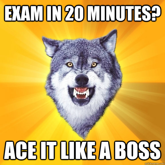 exam in 20 minutes? ace it like a boss  Courage Wolf