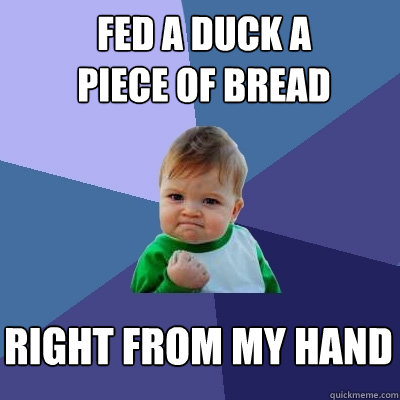 fed a duck a piece of bread right from my hand  Success Kid