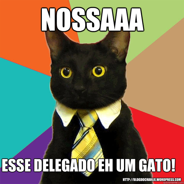 Nossaaa Esse Delegado eh um gato! http://blogdocharlie.wordpress.com/  Business Cat