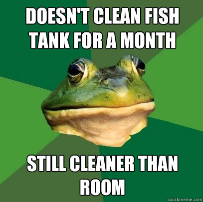 Doesn't clean fish tank for a month still cleaner than room - Doesn't clean fish tank for a month still cleaner than room  Foul Bachelor Frog