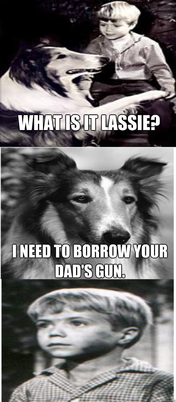 What is it lassie? i need to borrow your dad's gun.  