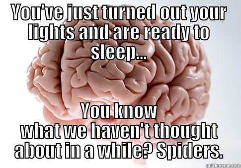 You suck Brain. - YOU'VE JUST TURNED OUT YOUR LIGHTS AND ARE READY TO SLEEP... YOU KNOW WHAT WE HAVEN'T THOUGHT ABOUT IN A WHILE? SPIDERS. Scumbag Brain