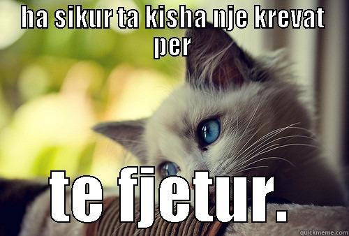 HA SIKUR TA KISHA NJE KREVAT PER TE FJETUR. First World Problems Cat