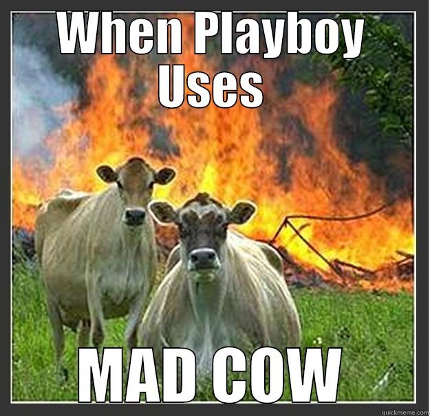 WHEN PLAYBOY USES MAD COW Evil cows