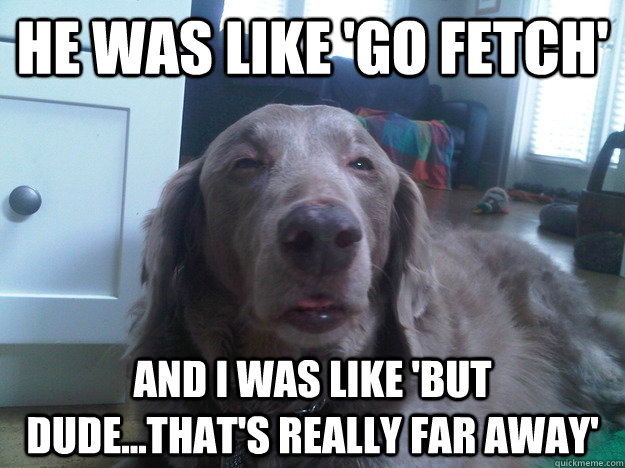 He was like 'Go fetch' And I was like 'But dude...That's really far away'  10 Dog