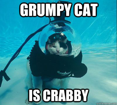 Grumpy cat Is crabby - Grumpy cat Is crabby  Misc