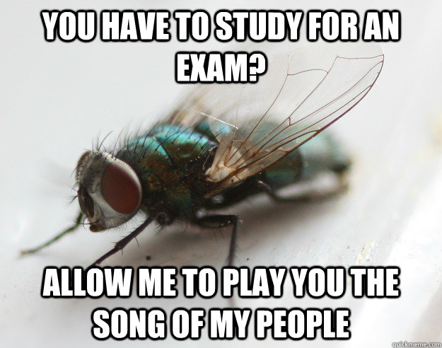 You have to study for an exam? Allow me to play you the song of my people  