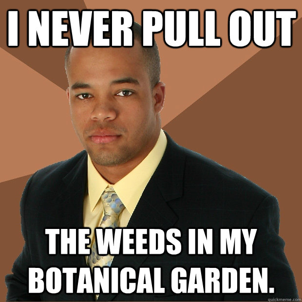 I never pull out the weeds in my botanical garden.  Successful Black Man