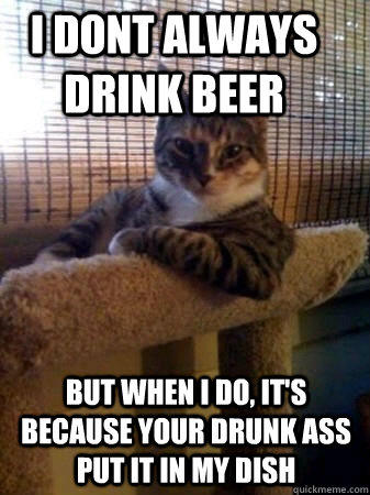 I dont always drink beer but when I do, it's because your drunk ass put it in my dish  The Most Interesting Cat in the World