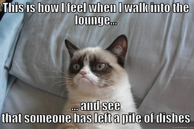 No cat cleanliness - THIS IS HOW I FEEL WHEN I WALK INTO THE LOUNGE... ... AND SEE THAT SOMEONE HAS LEFT A PILE OF DISHES Grumpy Cat