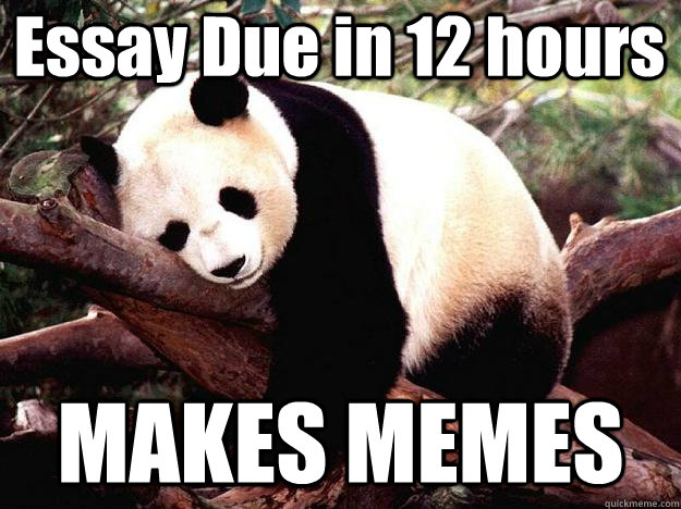 Essay Due in 12 hours MAKES MEMES  Procrastination Panda