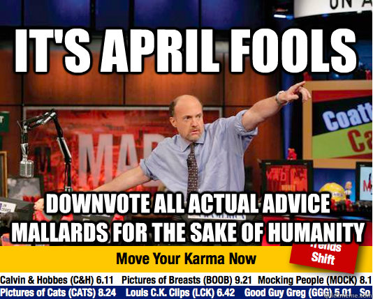 it's april fools downvote all actual advice mallards for the sake of humanity  Mad Karma with Jim Cramer