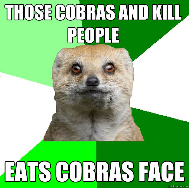 Those cobras and kill people Eats cobras face - Those cobras and kill people Eats cobras face  Moralfag Mongoose